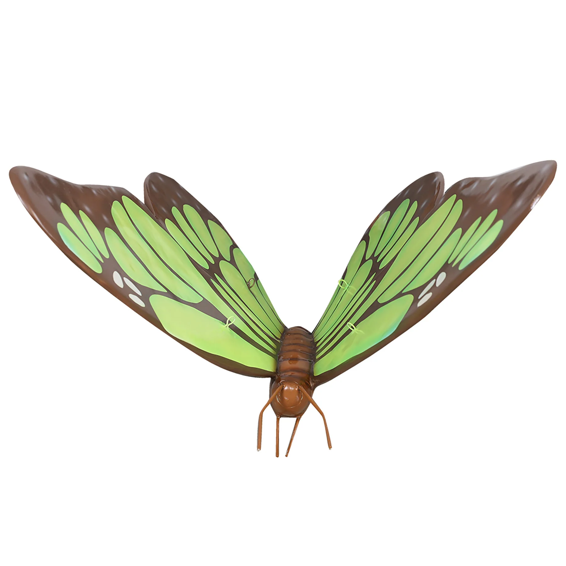 Green Butterfly - Image 2