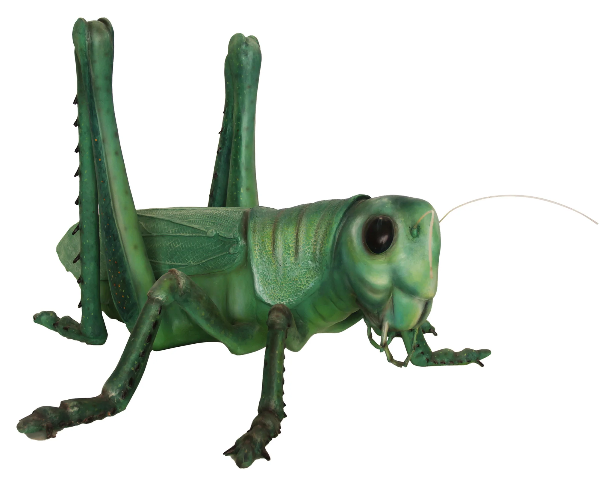 Life Like Grasshopper - Image 2