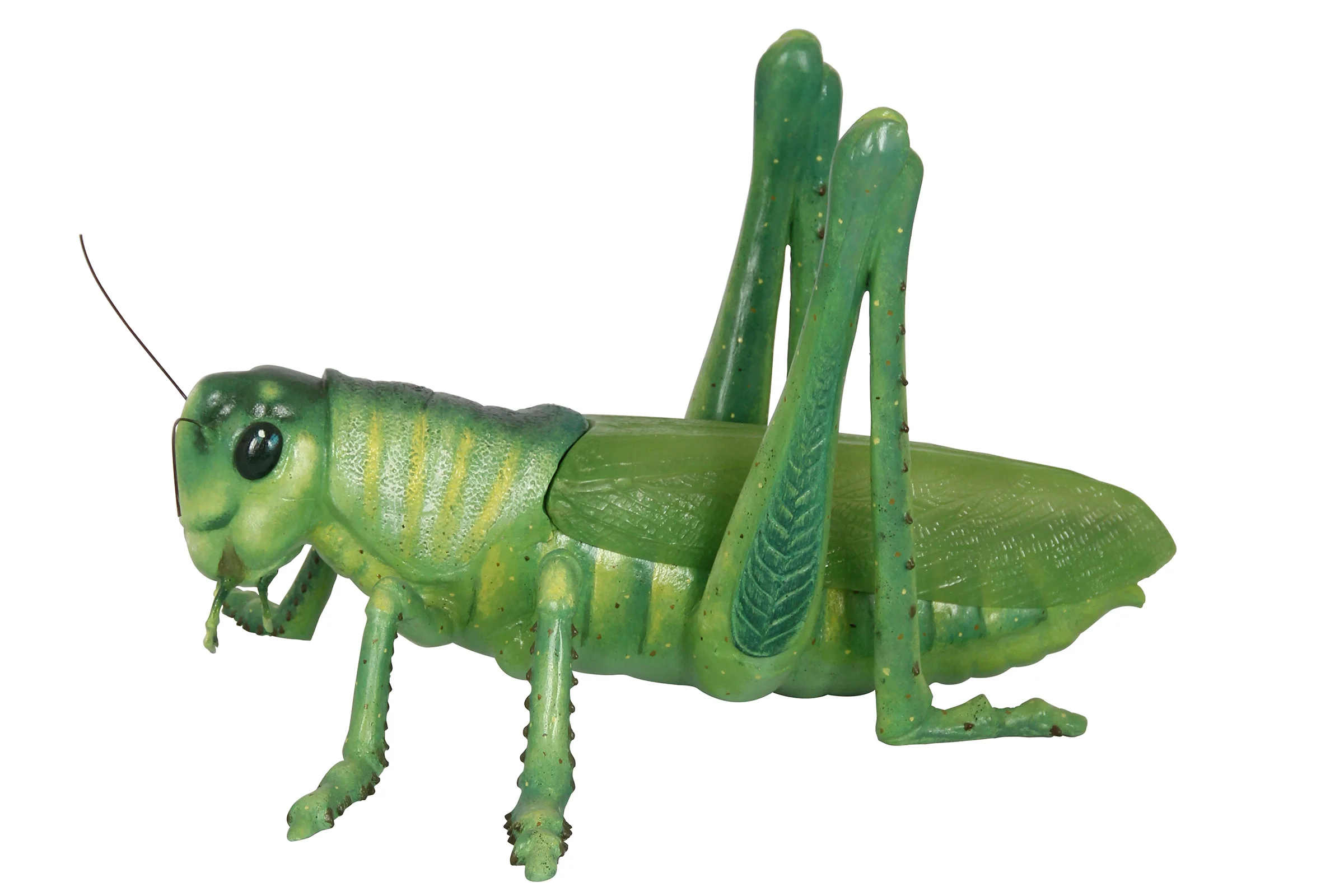 Life Like Grasshopper - Image 3