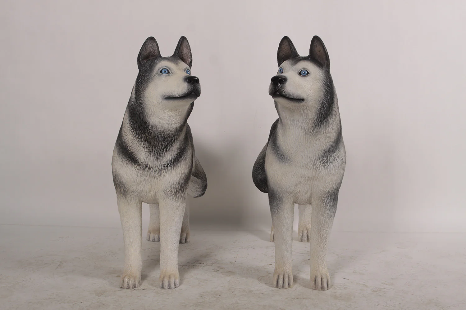 Set of Two Husky Dogs